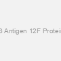 G Antigen 12F Protein
